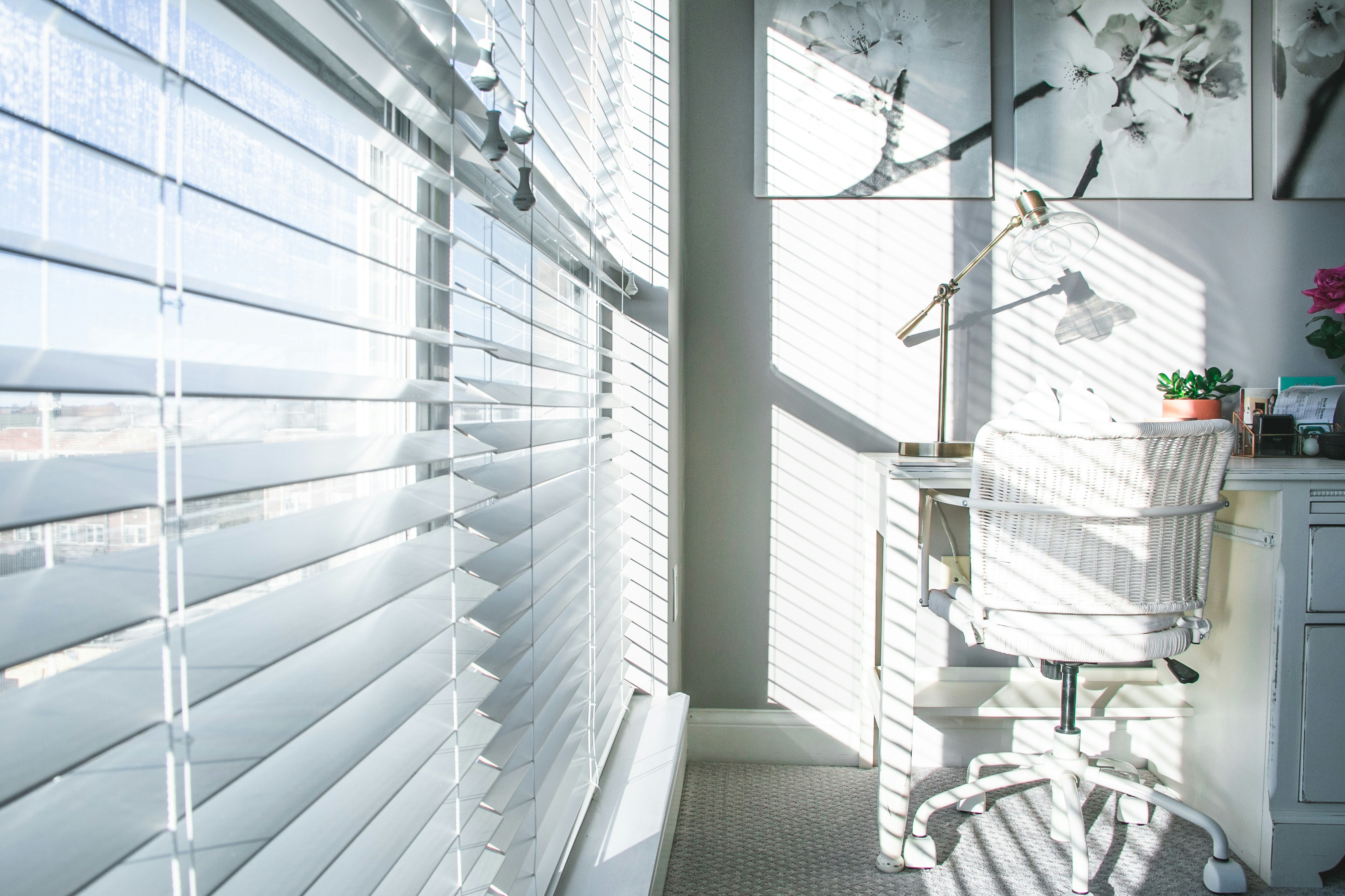 Interior window with roller blinds controlling sunlight in modern home Tauranga